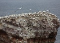 Ostrov Helgoland - fotografický ráj v Severním moři