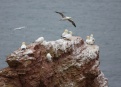 Ostrov Helgoland - fotografický ráj v Severním moři