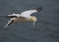 Ostrov Helgoland - fotografický ráj v Severním moři