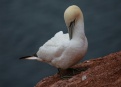 Ostrov Helgoland - fotografický ráj v Severním moři