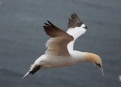 Ostrov Helgoland - fotografický ráj v Severním moři