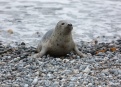 Ostrov Helgoland - fotografický ráj v Severním moři