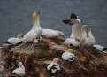 Ostrov Helgoland - fotografický ráj v Severním moři