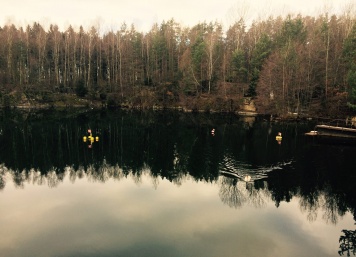 Leštinka 10.01.2016