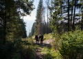 Nízké Tatry