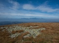 Nízké Tatry