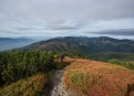 Nízké Tatry