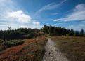 Nízké Tatry