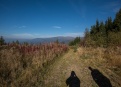 Nízké Tatry