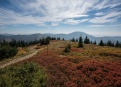 Nízké Tatry